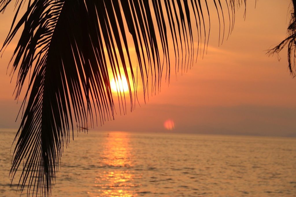 Sonnenuntergang ©5419503 Palmenblatt mit dem Meer im Hintergrund auf dem sich der Sonnenuntergang spiegelt.