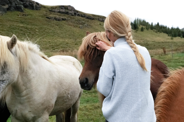 Girl strokes a horse © Unsplash