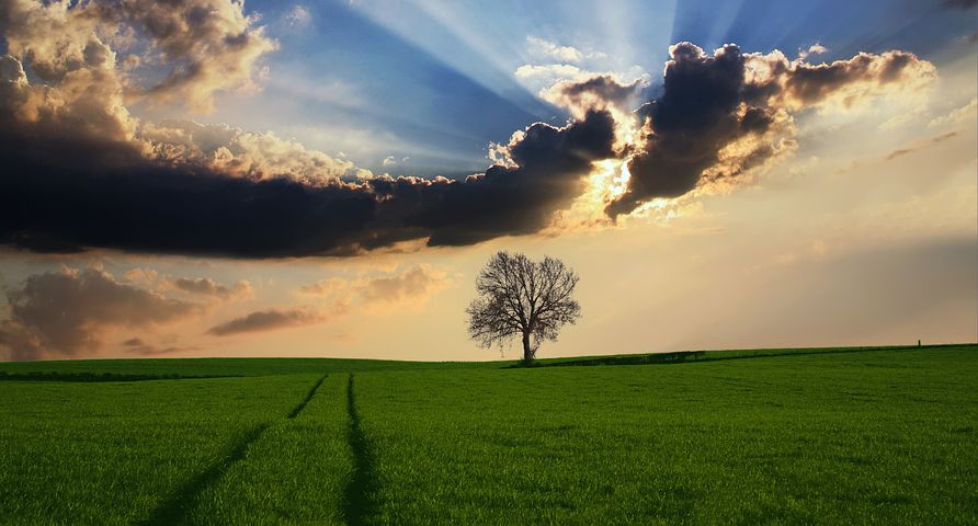 Landschaftsbild mit Baum und Wolken