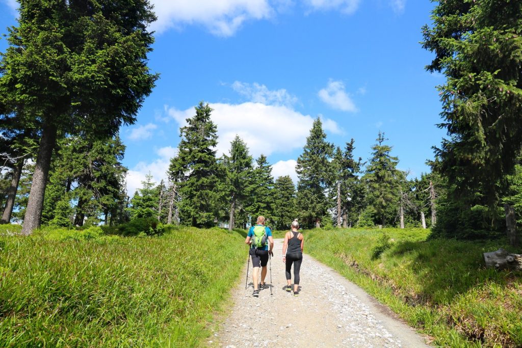 Personen beim Wandern im Grünen