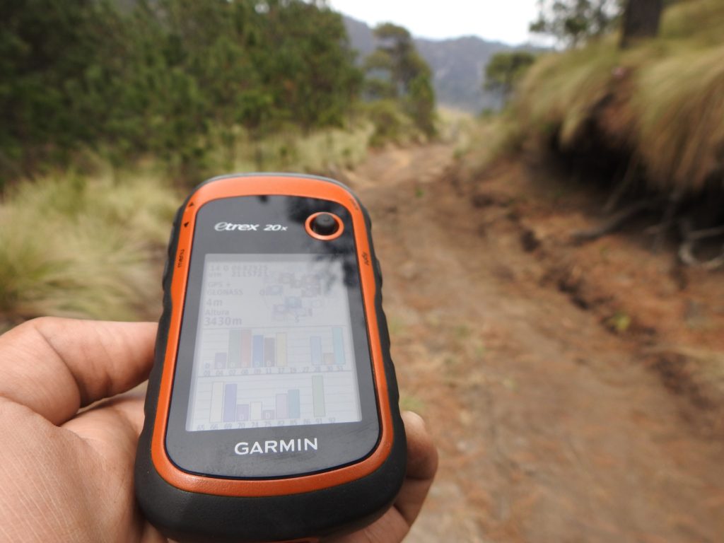 Geocaching in der Natur